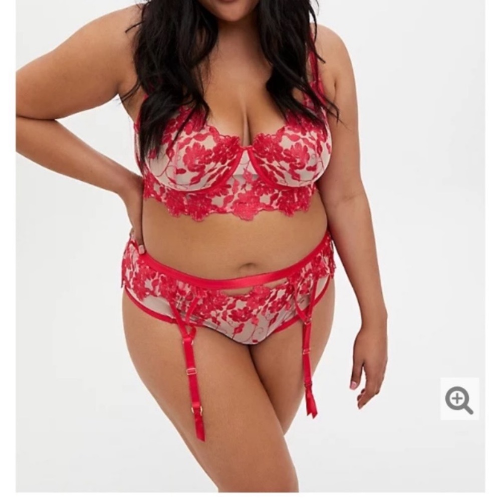 Torrid Size 3/4 Raspberry Mesh Garter Belt NWT